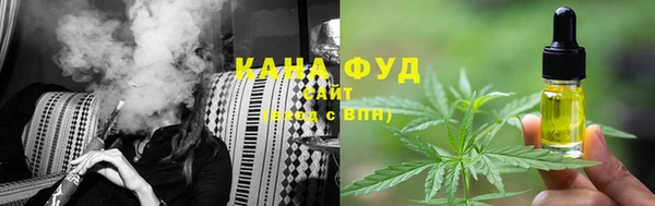 хмурый Абаза