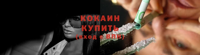 бошки Гатчина