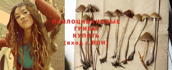 бошки Гатчина