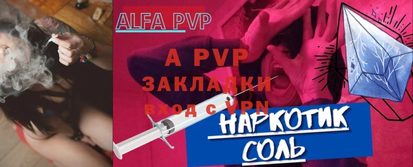 хмурый Абаза