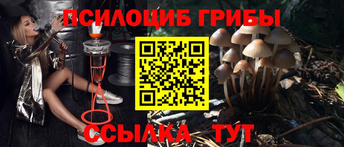 где можно купить наркотик  Псилоцибиновые грибы GOLDEN TEACHER  Вход с VPN  Псилоцибиновые грибы прущие грибы  Киржач 